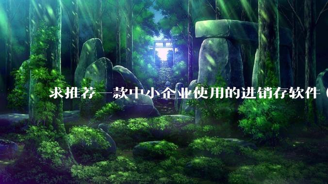 求推荐一款中小企业使用的进销存软件（零售批发类，要有记录序列号功能）?