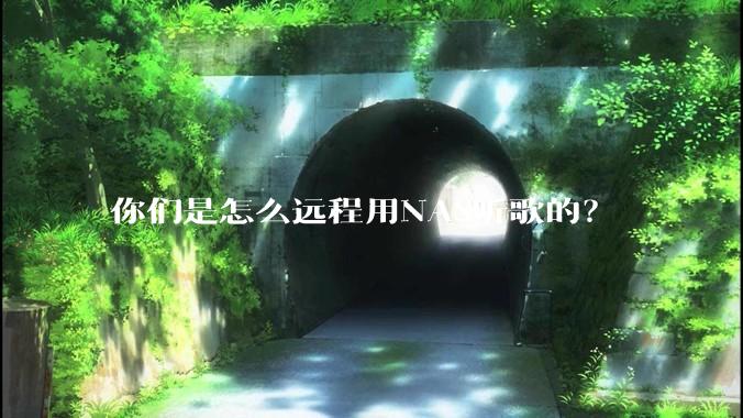 你们是怎么远程用NAS听歌的？